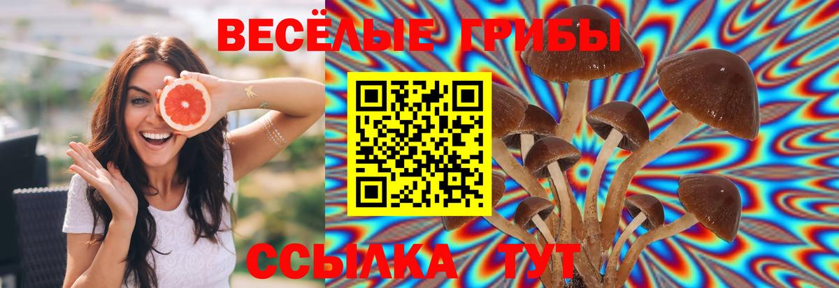Псилоцибиновые грибы мухоморы Урай